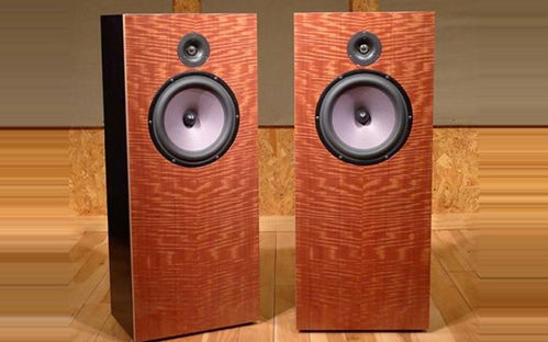 Stereophile 揭曉2021年推薦音響器材榜（三十八） 音箱與音響設(shè)備鑒賞